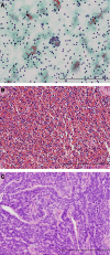 Fig 1