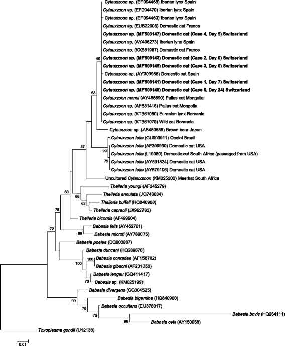 Fig. 4