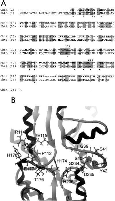 FIG. 6