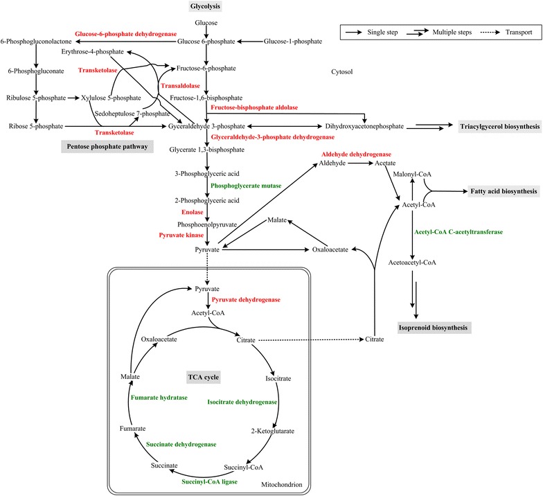 Fig. 3