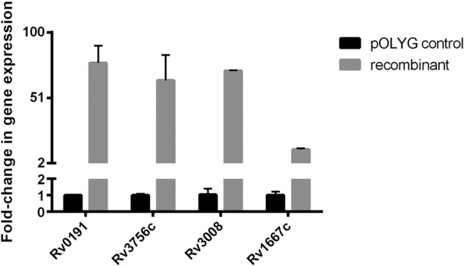 FIG 4