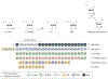 Figure 2 |