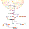 Figure 1 |