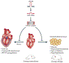 Figure 3 |