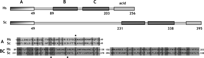 FIGURE 1.