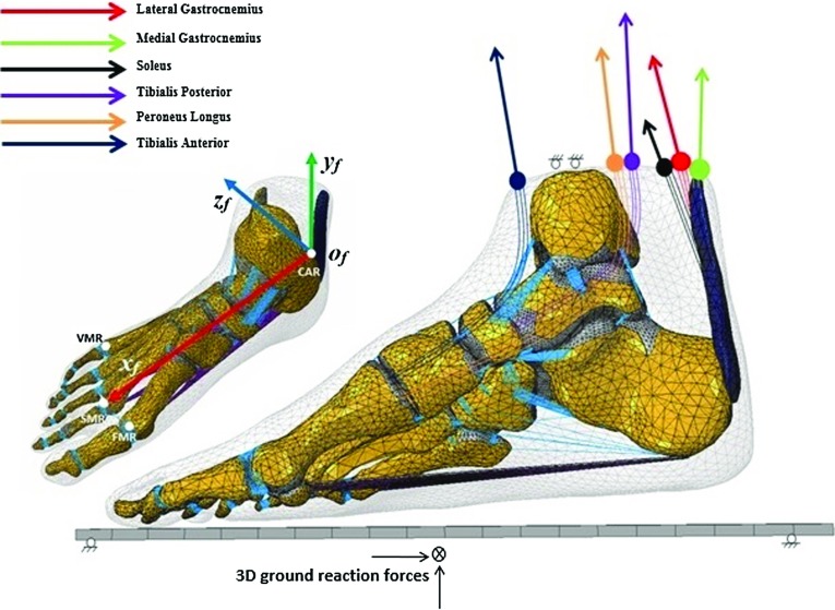 Fig. 4