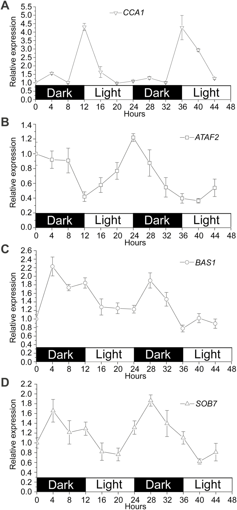 Fig. 8.