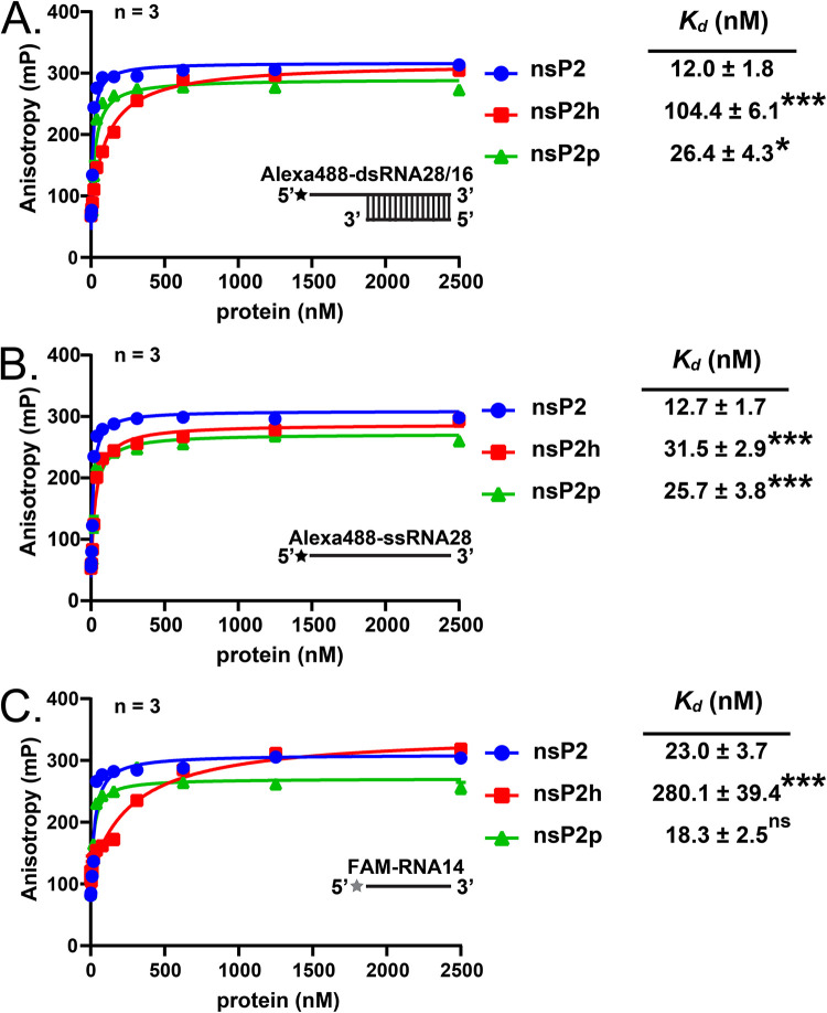 FIG 6