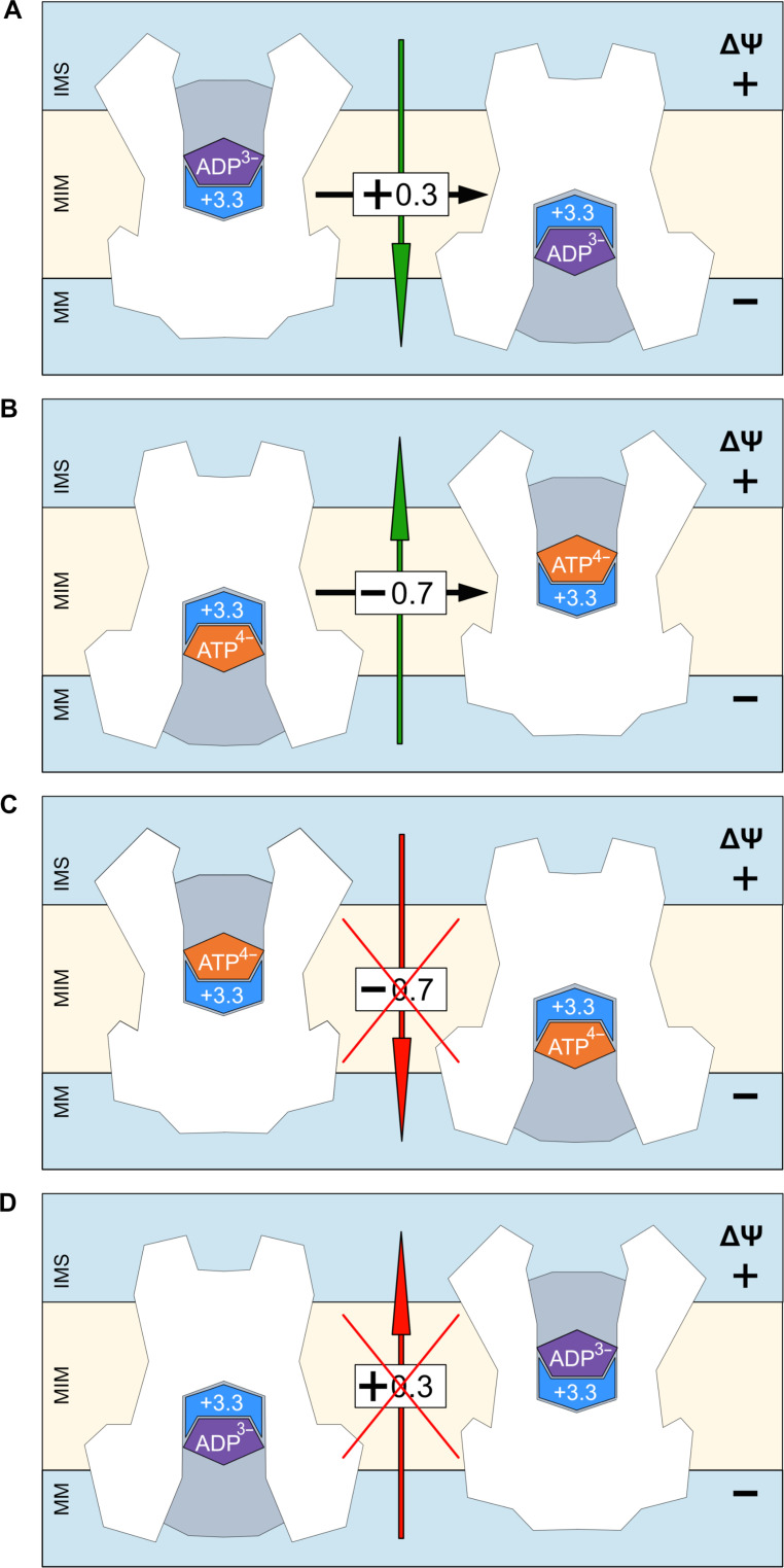 Fig. 6.