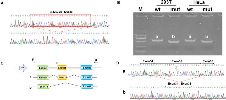 FIGURE 3