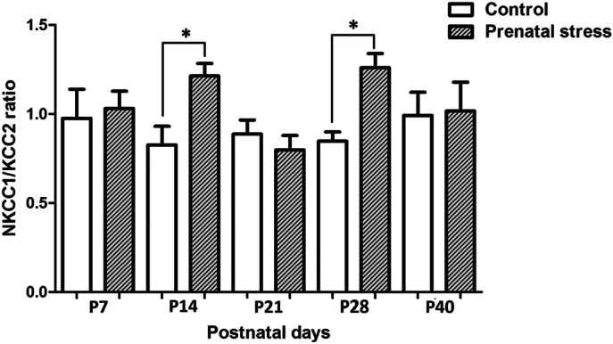 Fig. 3