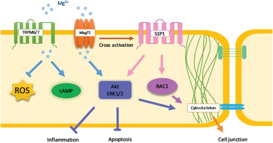 Figure 10