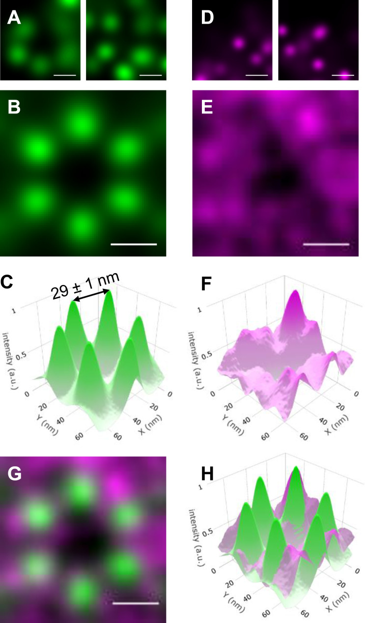 Figure 3.