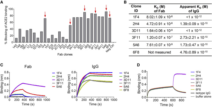 Figure 1