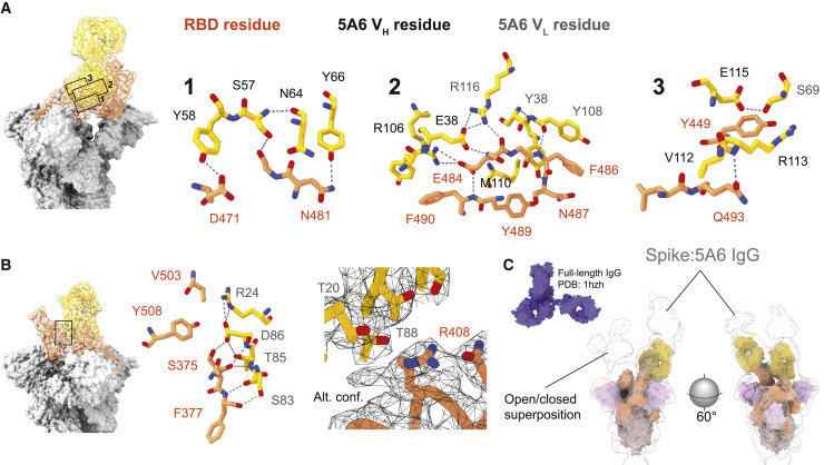 Figure 5