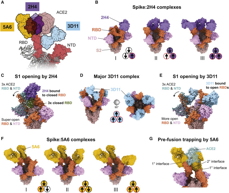 Figure 4