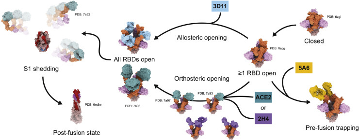 Figure 6
