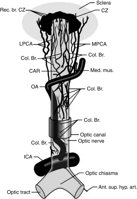 Fig 1