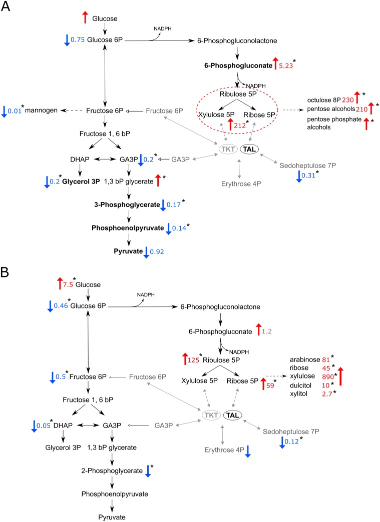 Fig 4