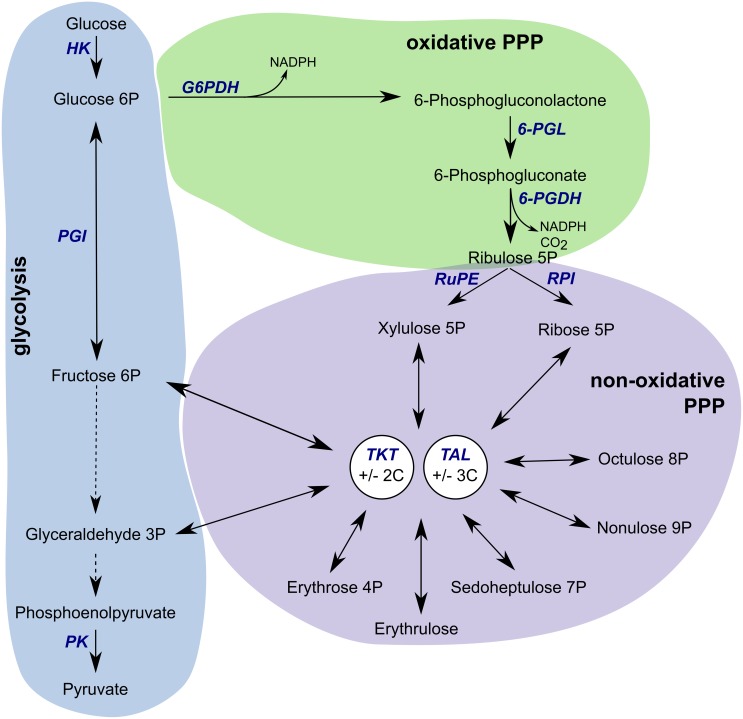 Fig 1