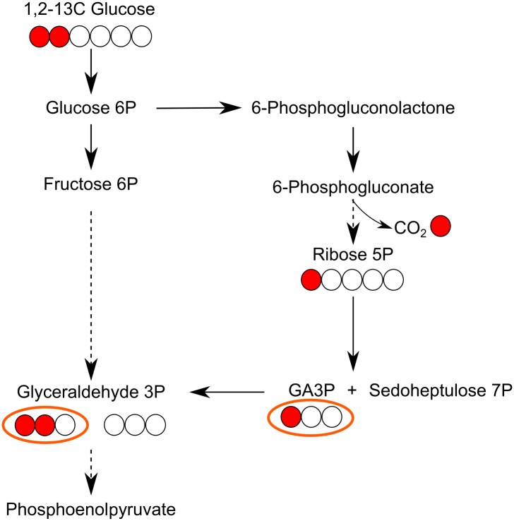 Fig 6