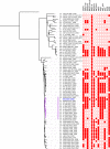 Fig. 2