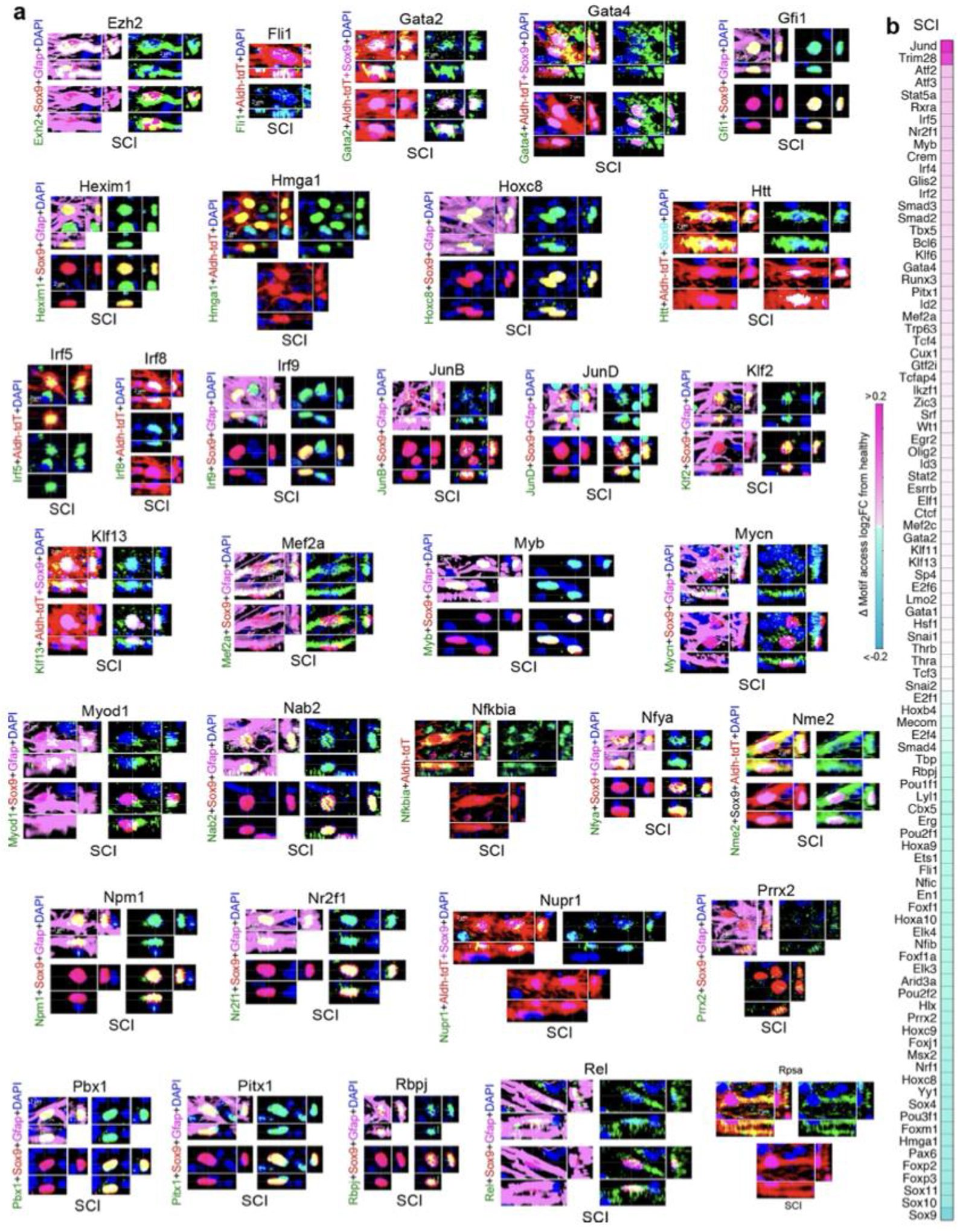 Extended Data Fig. 4