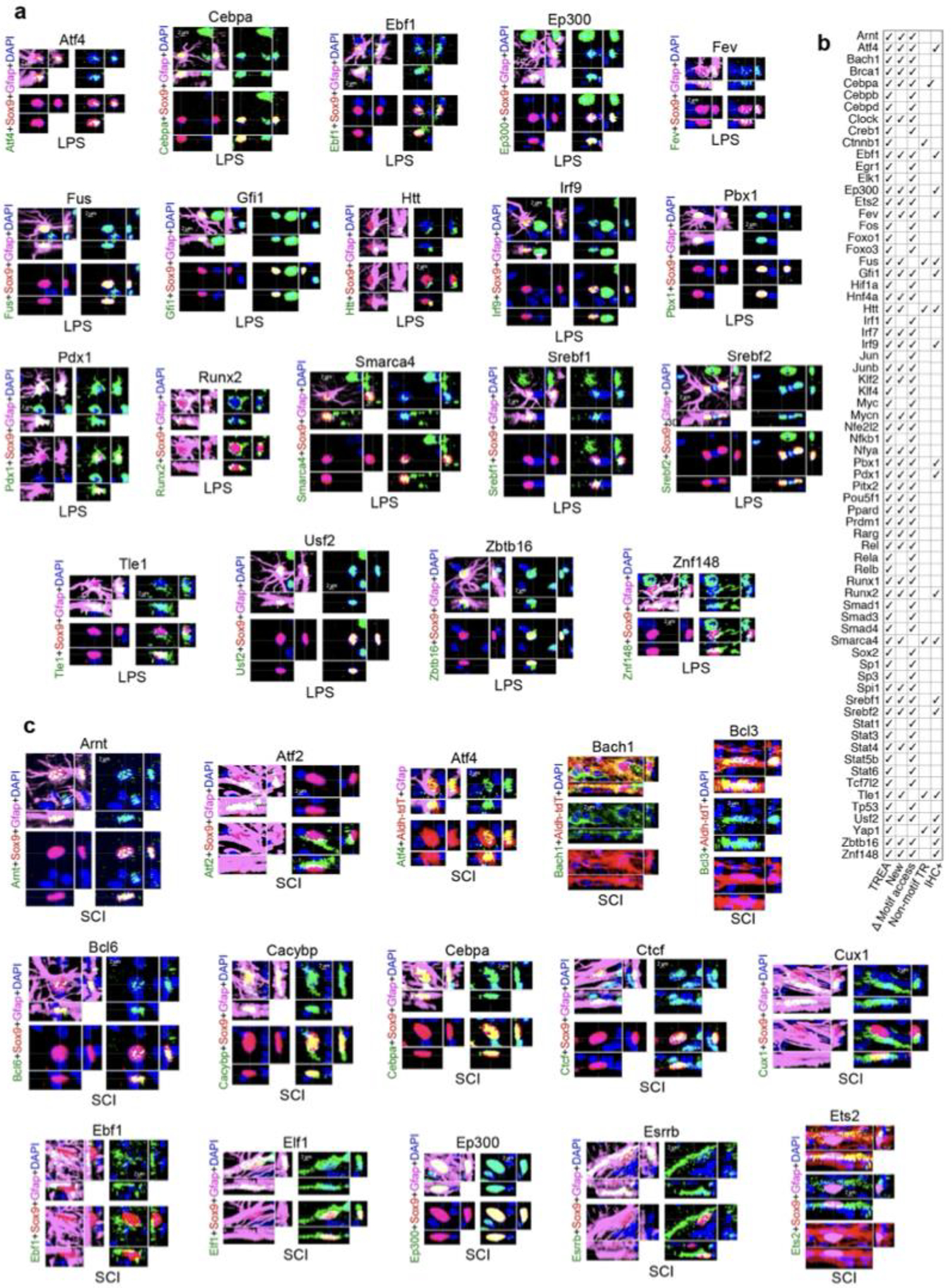 Extended Data Fig. 3.