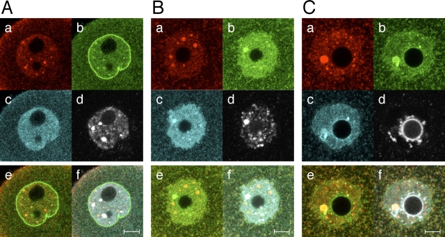 FIG. 3.