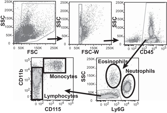 Fig. 8.