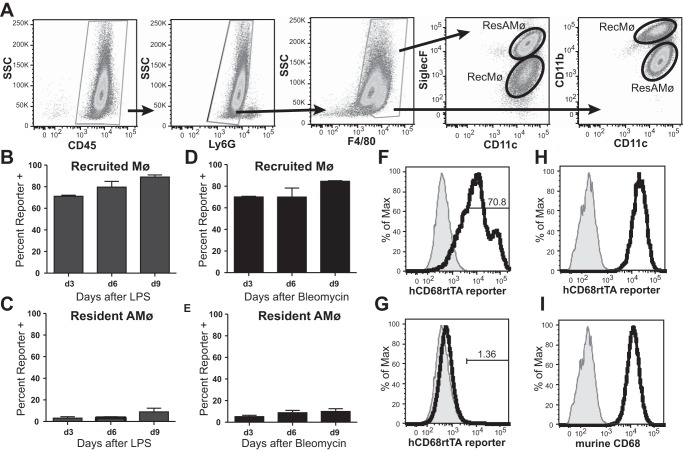 Fig. 10.