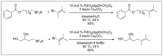 Scheme 5