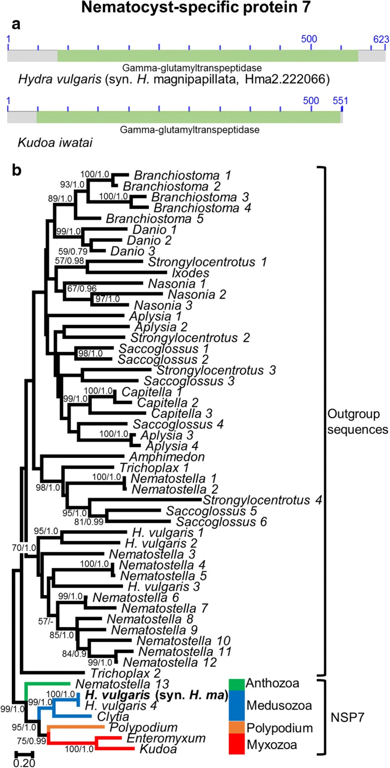 Fig. 7