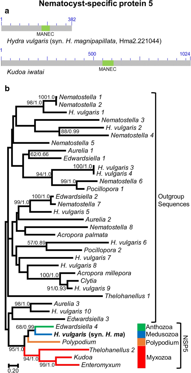 Fig. 5