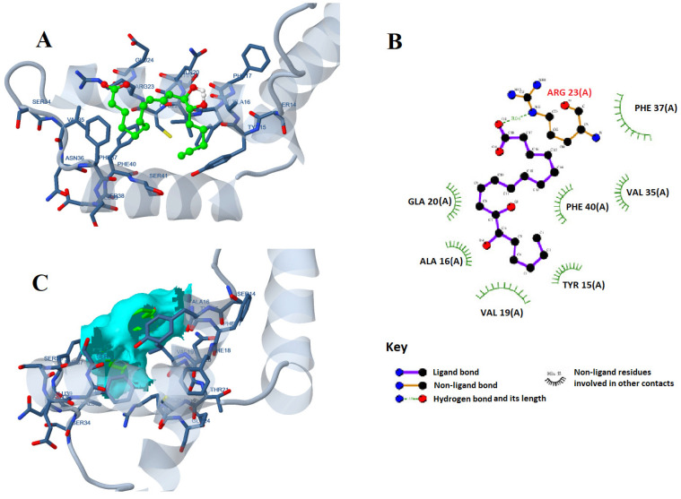 Figure 2