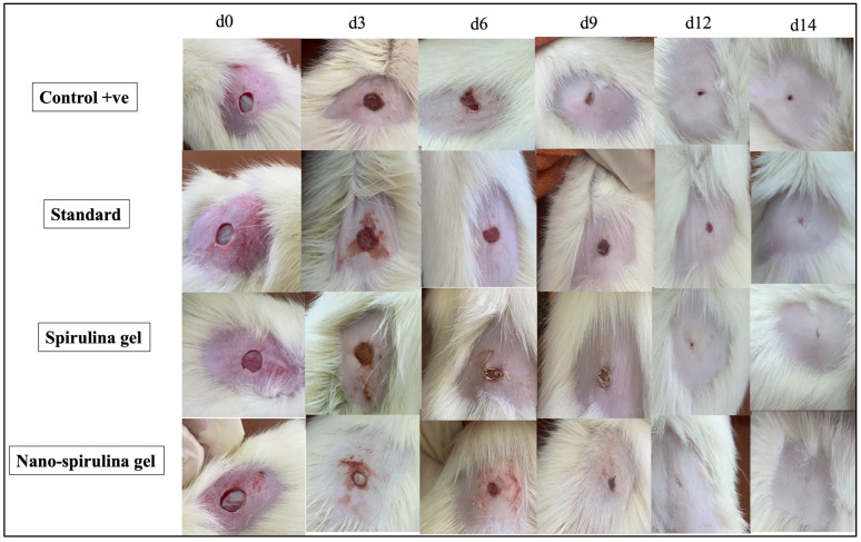 Figure 7