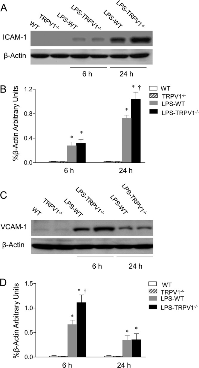 Fig 8