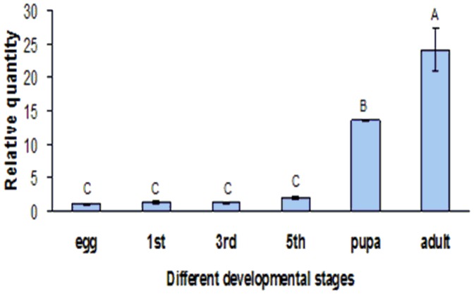 Figure 5