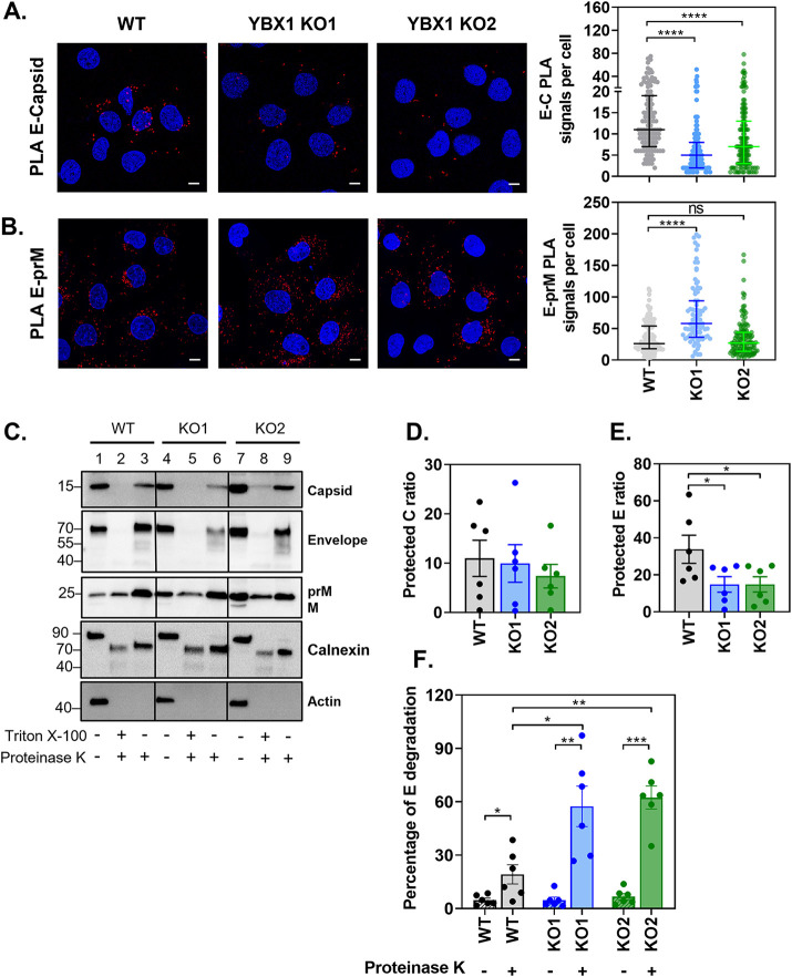 FIG 4