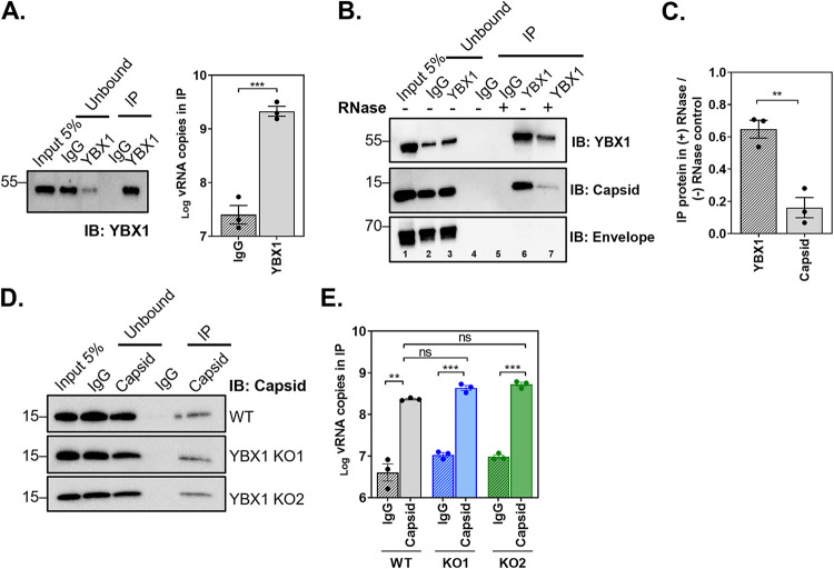 FIG 3