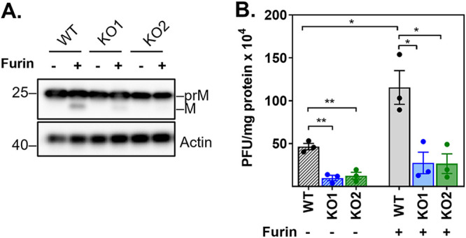 FIG 6