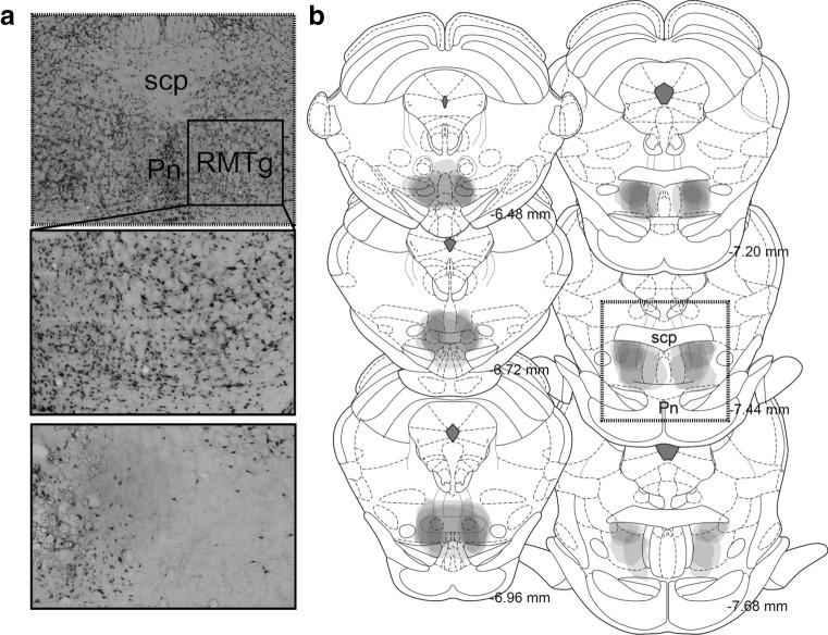 Fig. 5