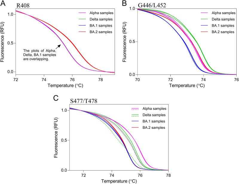 FIG 2