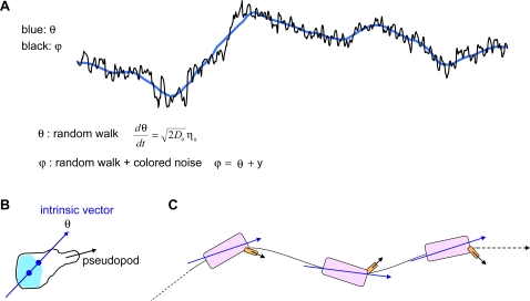 Figure 8