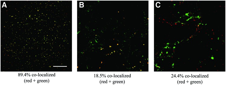 FIG. 7.