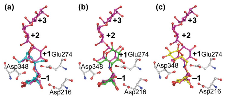 Figure 7