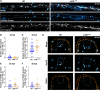 Figure 4—figure supplement 2.