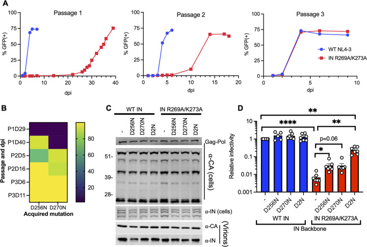 FIG 1