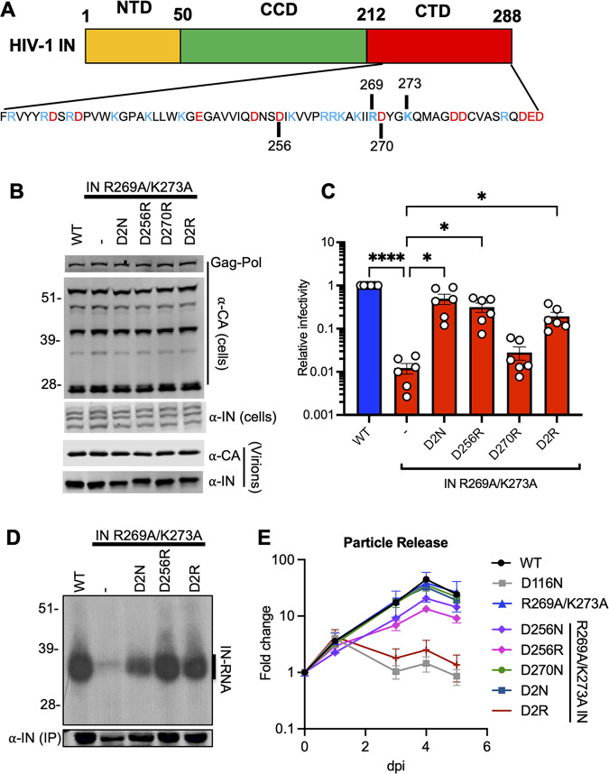 FIG 3