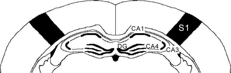 Fig.1